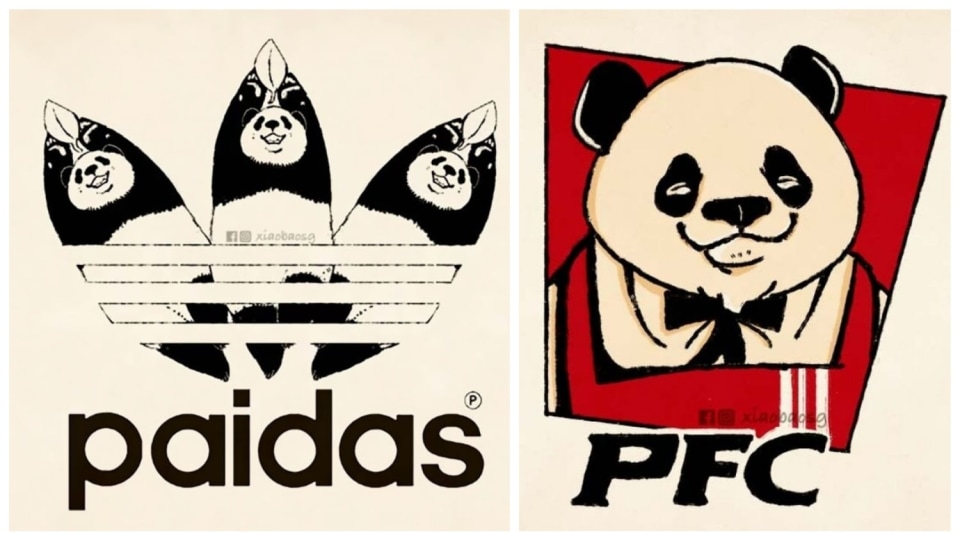 Panda loga